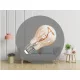 NEDES LED Filament SHAPE 4W BRAUN - A60 / E27 / 1800K - ZSF107