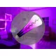 NEDES LED Filament SHAPE 5W PURPLE - T110 / E27 / 1800K - ZSF111