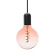 NEDES LED Filament SPIRAL 4W PINK - TRANSPARENT - G125 / E27 / 2000K - ZSF124