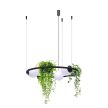 ZUMA LINE PENDANT PLANT 5005 3XE27 BLACK/WHITE